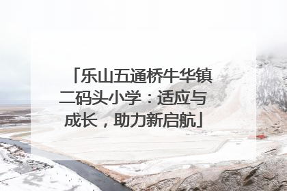 乐山五通桥牛华镇二码头小学：适应与成长，助力新启航