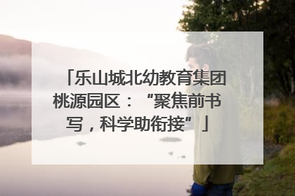 乐山城北幼教育集团桃源园区：“聚焦前书写，科学助衔接”
