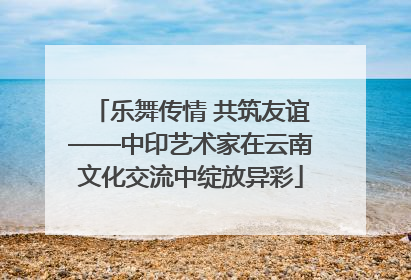 乐舞传情 共筑友谊——中印艺术家在云南文化交流中绽放异彩