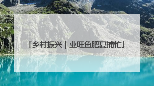 乡村振兴｜业旺鱼肥夏捕忙