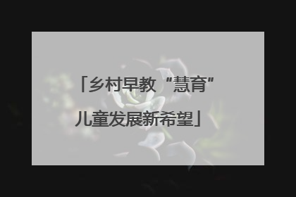 乡村早教“慧育”儿童发展新希望