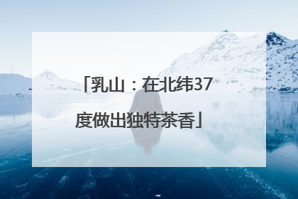 乳山：在北纬37度做出独特茶香