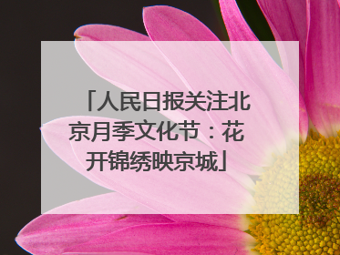 人民日报关注北京月季文化节：花开锦绣映京城