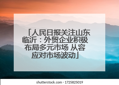 人民日报关注山东临沂：外贸企业积极布局多元市场 从容应对市场波动