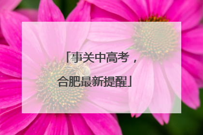 事关中高考，合肥最新提醒