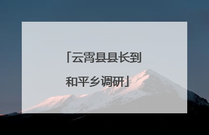 云霄县县长到和平乡调研