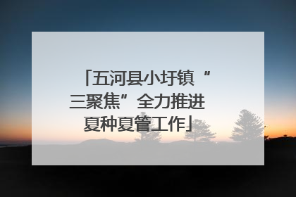 五河县小圩镇“三聚焦”全力推进夏种夏管工作