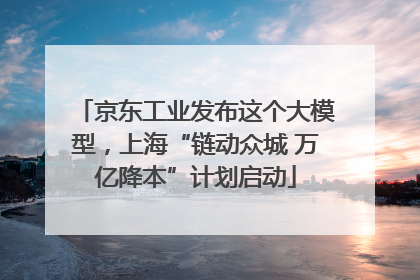 京东工业发布这个大模型，上海“链动众城 万亿降本”计划启动