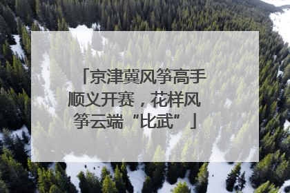 京津冀风筝高手顺义开赛，花样风筝云端“比武”