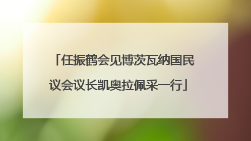 任振鹤会见博茨瓦纳国民议会议长凯奥拉佩采一行