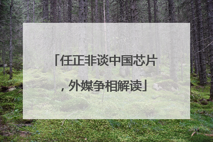 任正非谈中国芯片，外媒争相解读