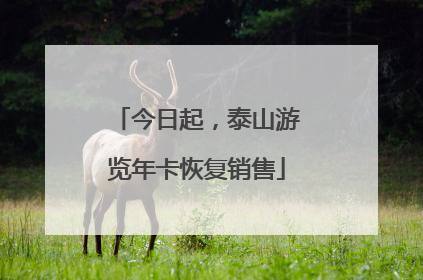 今日起，泰山游览年卡恢复销售