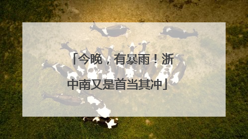 今晚，有暴雨！浙中南又是首当其冲