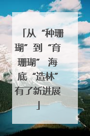 从“种珊瑚”到“育珊瑚” 海底“造林”有了新进展
