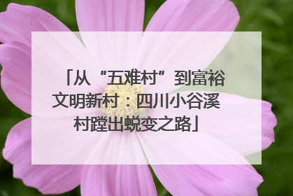 从“五难村”到富裕文明新村：四川小谷溪村蹚出蜕变之路