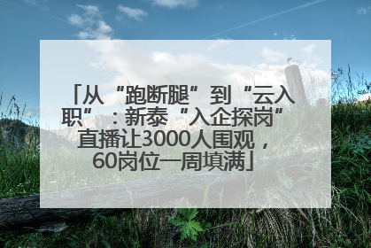 从“跑断腿”到“云入职”：新泰“入企探岗”直播让3000人围观，60岗位一周填满