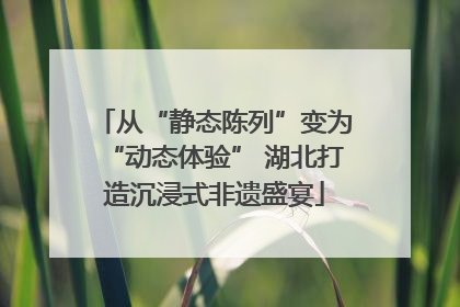 从“静态陈列”变为“动态体验” 湖北打造沉浸式非遗盛宴