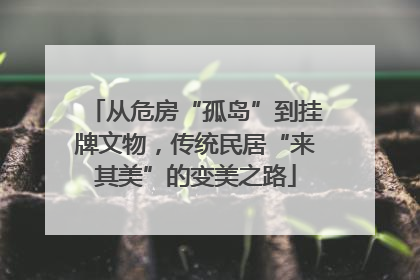 从危房“孤岛”到挂牌文物，传统民居“来其美”的变美之路