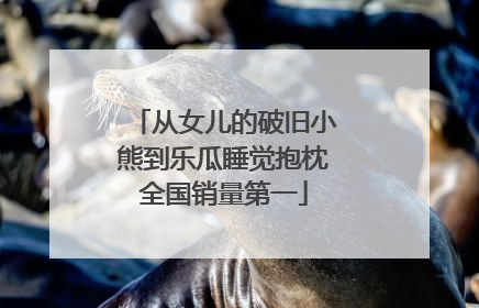 从女儿的破旧小熊到乐瓜睡觉抱枕全国销量第一