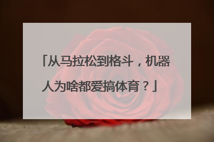 从马拉松到格斗，机器人为啥都爱搞体育？