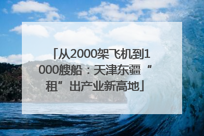 从2000架飞机到1000艘船：天津东疆“租”出产业新高地