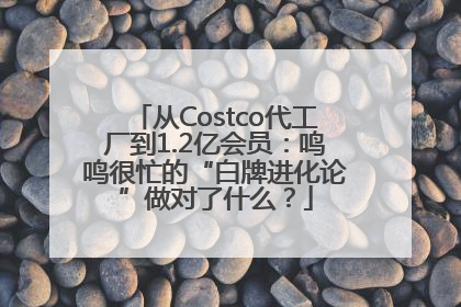 从Costco代工厂到1.2亿会员：鸣鸣很忙的“白牌进化论”做对了什么？