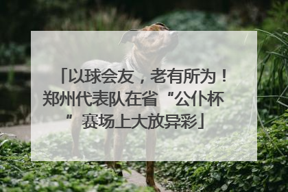 以球会友，老有所为！郑州代表队在省“公仆杯”赛场上大放异彩