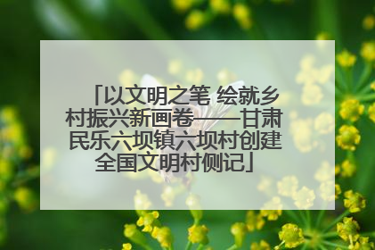 以文明之笔 绘就乡村振兴新画卷——甘肃民乐六坝镇六坝村创建全国文明村侧记