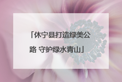 休宁县打造绿美公路 守护绿水青山
