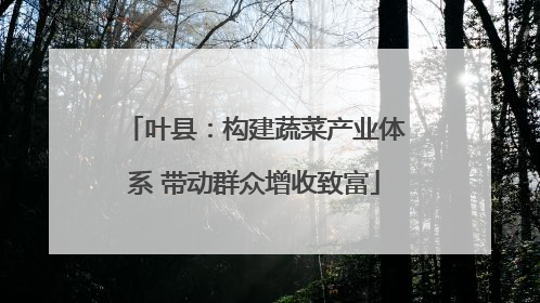 叶县：构建蔬菜产业体系 带动群众增收致富
