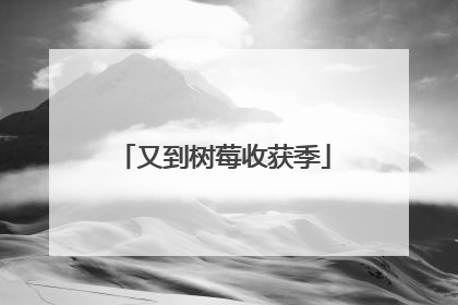 又到树莓收获季