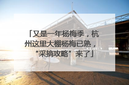 又是一年杨梅季，杭州这里大棚杨梅已熟，“采摘攻略”来了