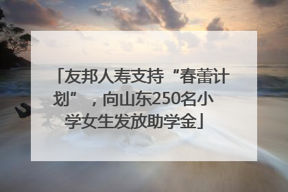 友邦人寿支持“春蕾计划”，向山东250名小学女生发放助学金
