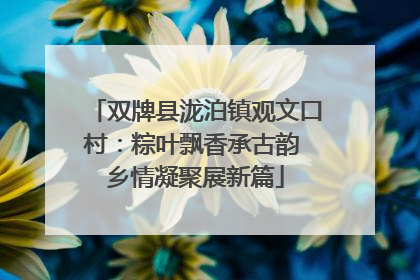 双牌县泷泊镇观文口村：粽叶飘香承古韵 乡情凝聚展新篇