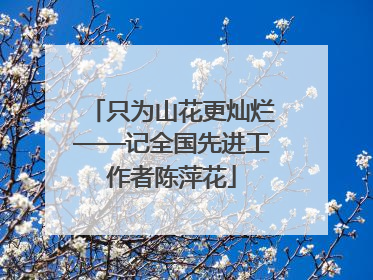 只为山花更灿烂——记全国先进工作者陈萍花