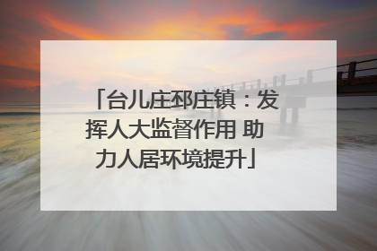 台儿庄邳庄镇：发挥人大监督作用 助力人居环境提升