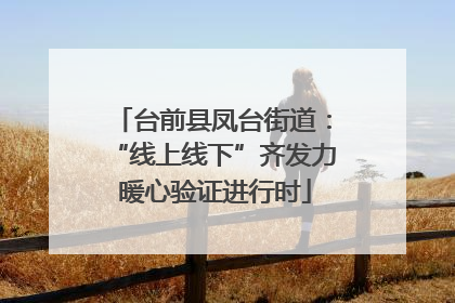 台前县凤台街道：“线上线下”齐发力 暖心验证进行时