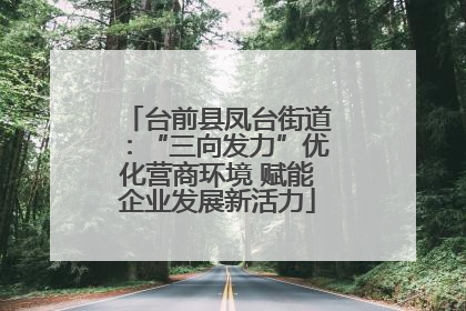 台前县凤台街道：“三向发力”优化营商环境 赋能企业发展新活力