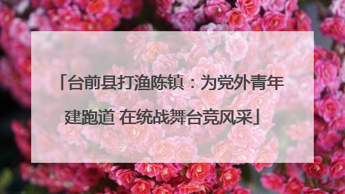 台前县打渔陈镇：为党外青年建跑道 在统战舞台竞风采