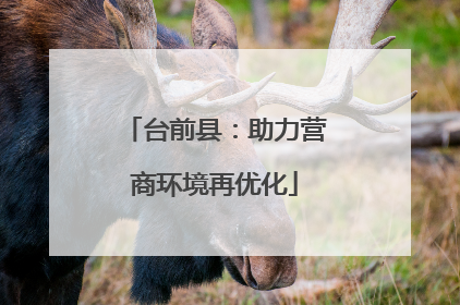 台前县：助力营商环境再优化