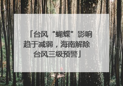 台风“蝴蝶”影响趋于减弱，海南解除台风三级预警
