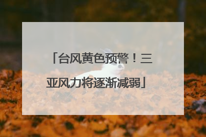 台风黄色预警！三亚风力将逐渐减弱