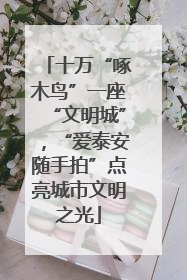 十万“啄木鸟”一座“文明城”，“爱泰安随手拍”点亮城市文明之光