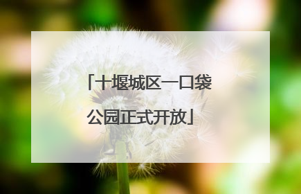 十堰城区一口袋公园正式开放