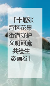 十堰张湾区花果街道守护文明河流 共绘生态画卷