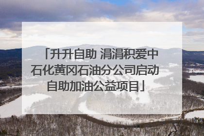 升升自助 涓涓积爱中石化黄冈石油分公司启动自助加油公益项目