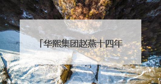 华熙集团赵燕十四年守护非遗，让新疆文化瑰宝绽放时代光彩
