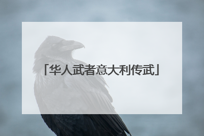 华人武者意大利传武