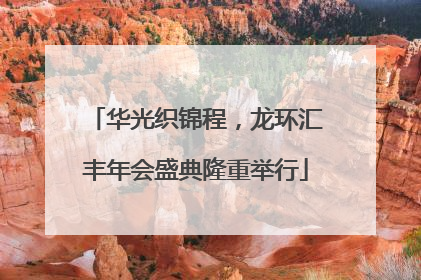 华光织锦程，龙环汇丰年会盛典隆重举行
