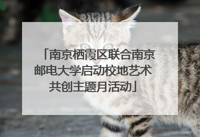南京栖霞区联合南京邮电大学启动校地艺术共创主题月活动